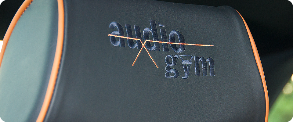 AUDI Kopfst&uuml;tze